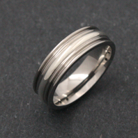 Titanium Ring - Silver Nikare